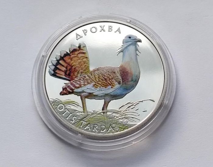 Монета Дрохва 2 гривні 2013 р.